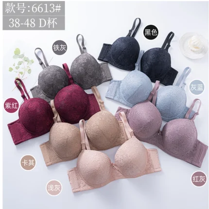 Plus Size Lace Bra for Women – Padded Full Coverage D Cup Bra
